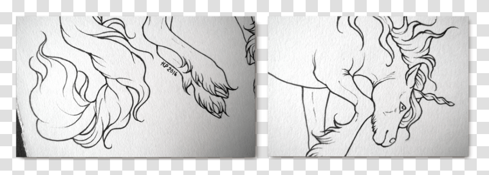 Paper Rip Lineart Sketch, Drawing, Hand, Modern Art Transparent Png