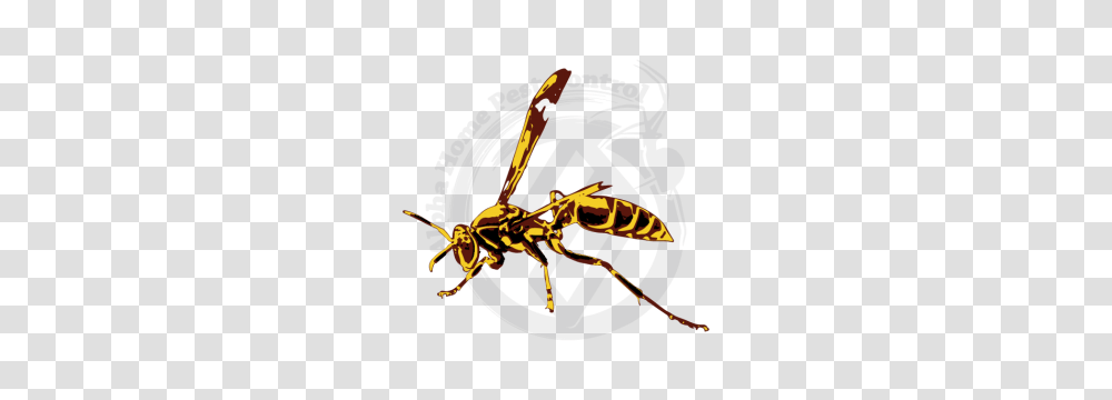 Paper Wasp, Bee, Insect, Invertebrate, Animal Transparent Png