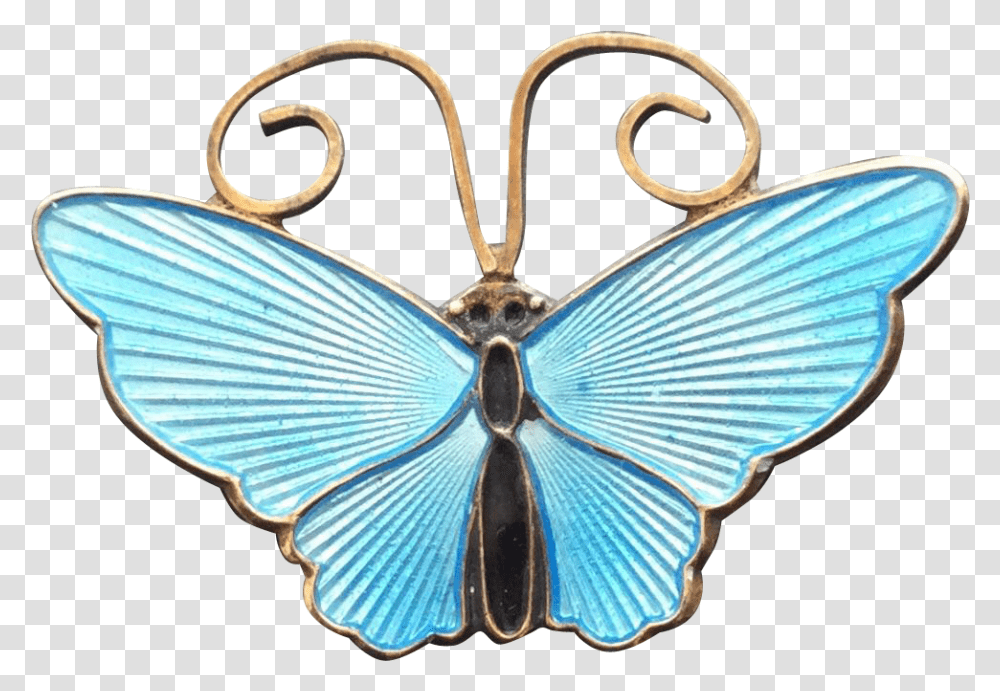 Papilio, Animal, Invertebrate, Insect, Butterfly Transparent Png