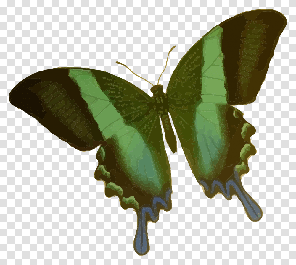 Papilio Blumei Clip Arts Butterfly Cartoon Green, Insect, Invertebrate, Animal, Moth Transparent Png
