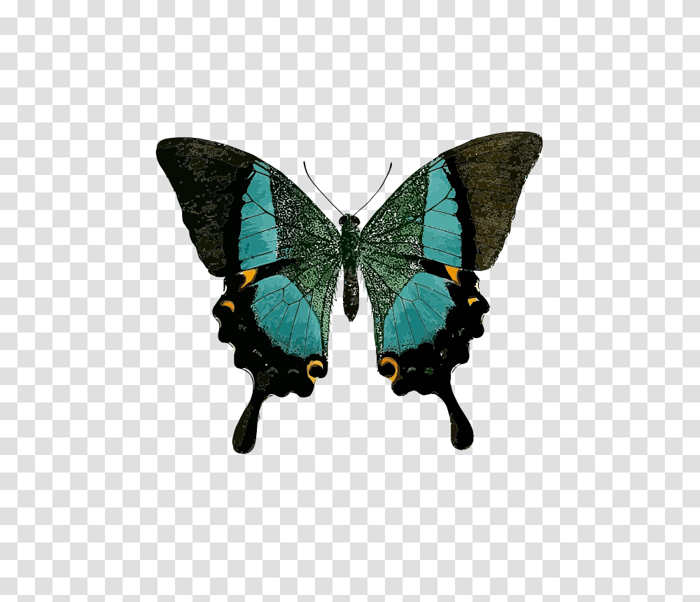 Papilio Buddha, Nature, Insect, Invertebrate, Animal Transparent Png