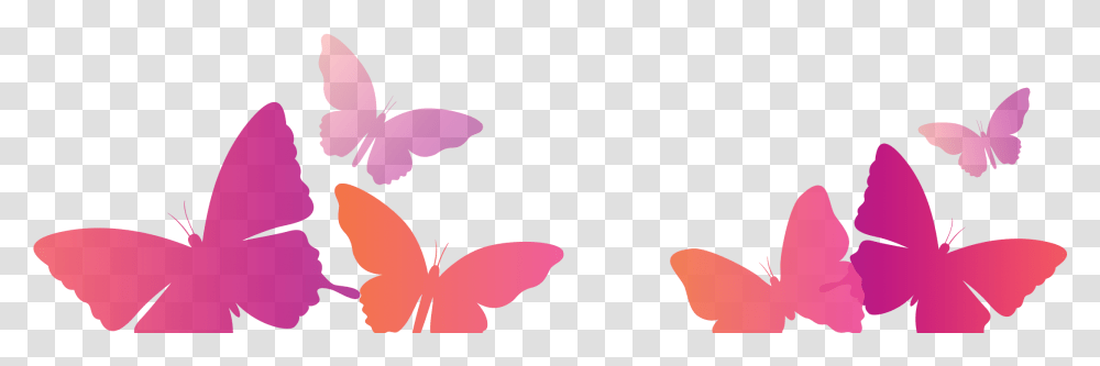 Papilio, Plant, Floral Design Transparent Png