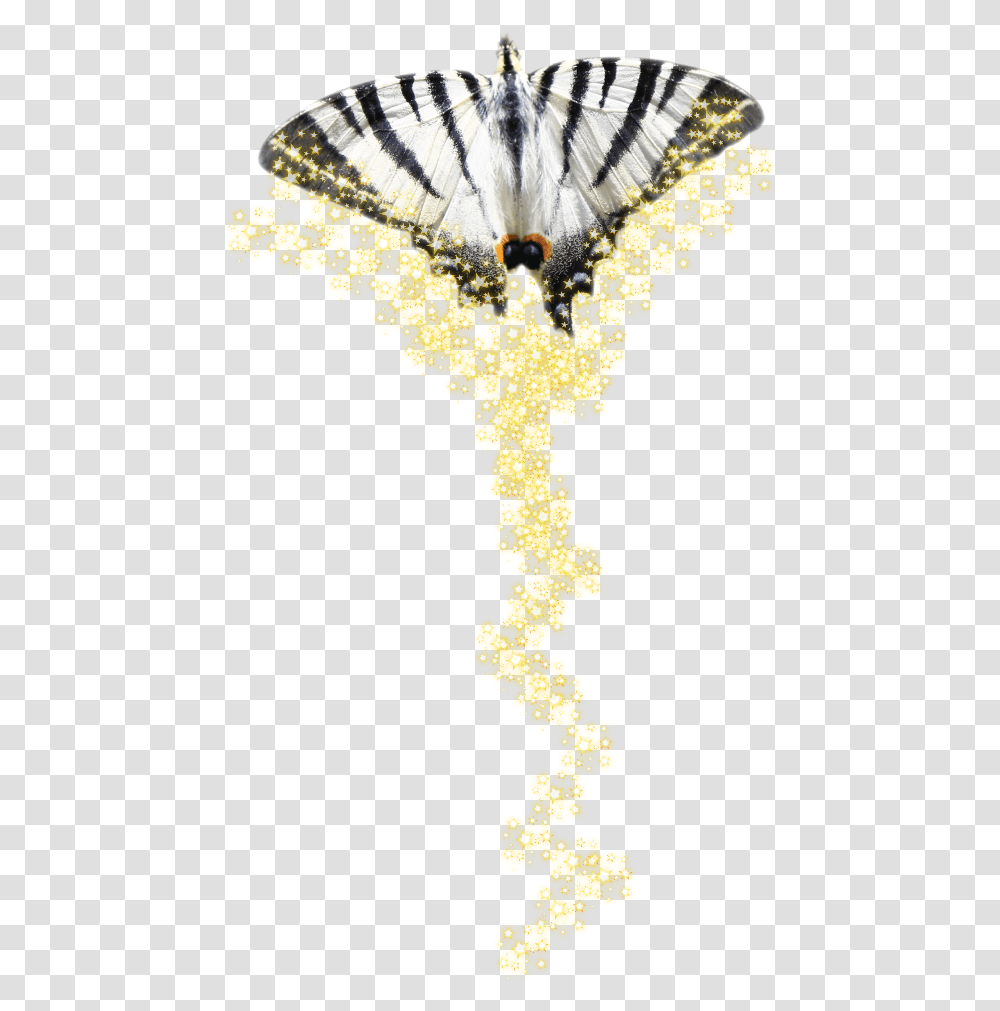 Papilio Machaon, Cross, Light, Parade Transparent Png