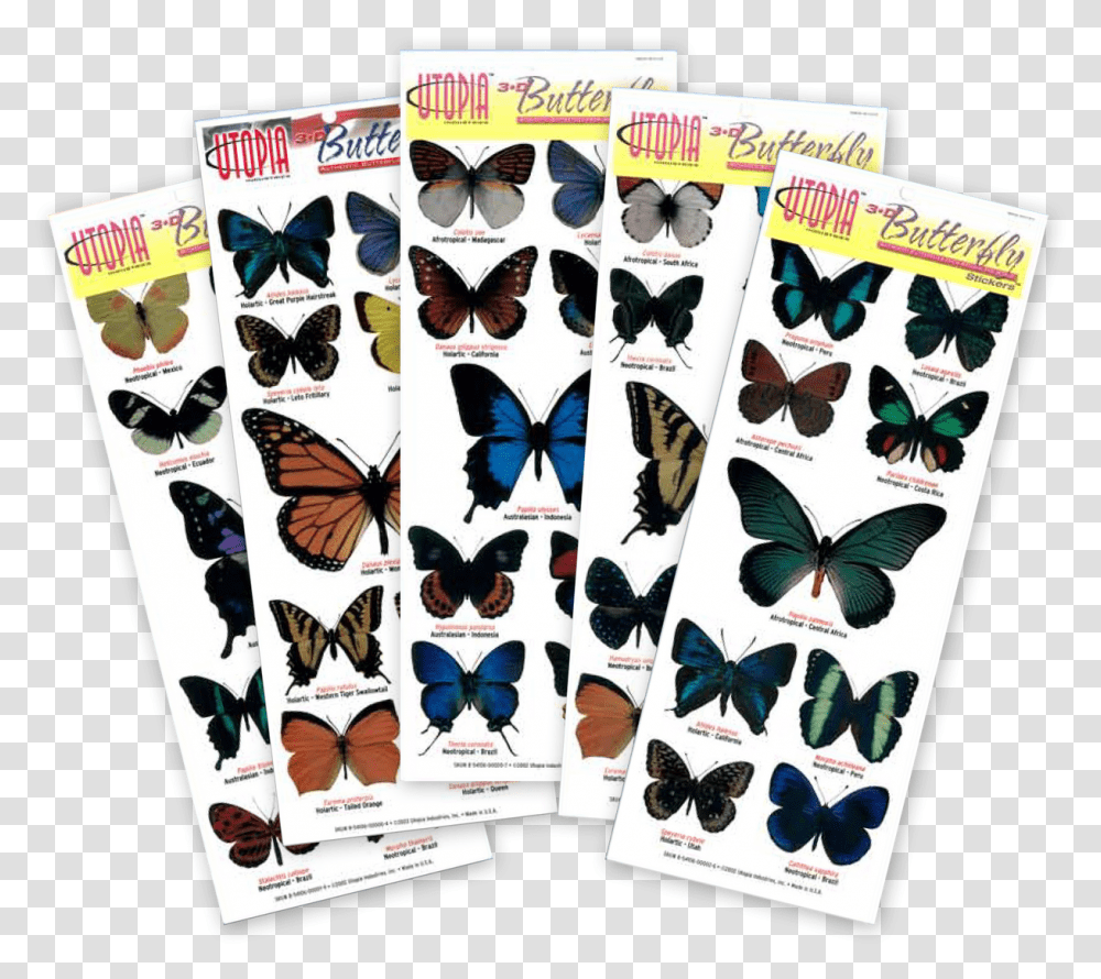 Papilio Machaon, Sunglasses, Accessories, Accessory, Advertisement Transparent Png