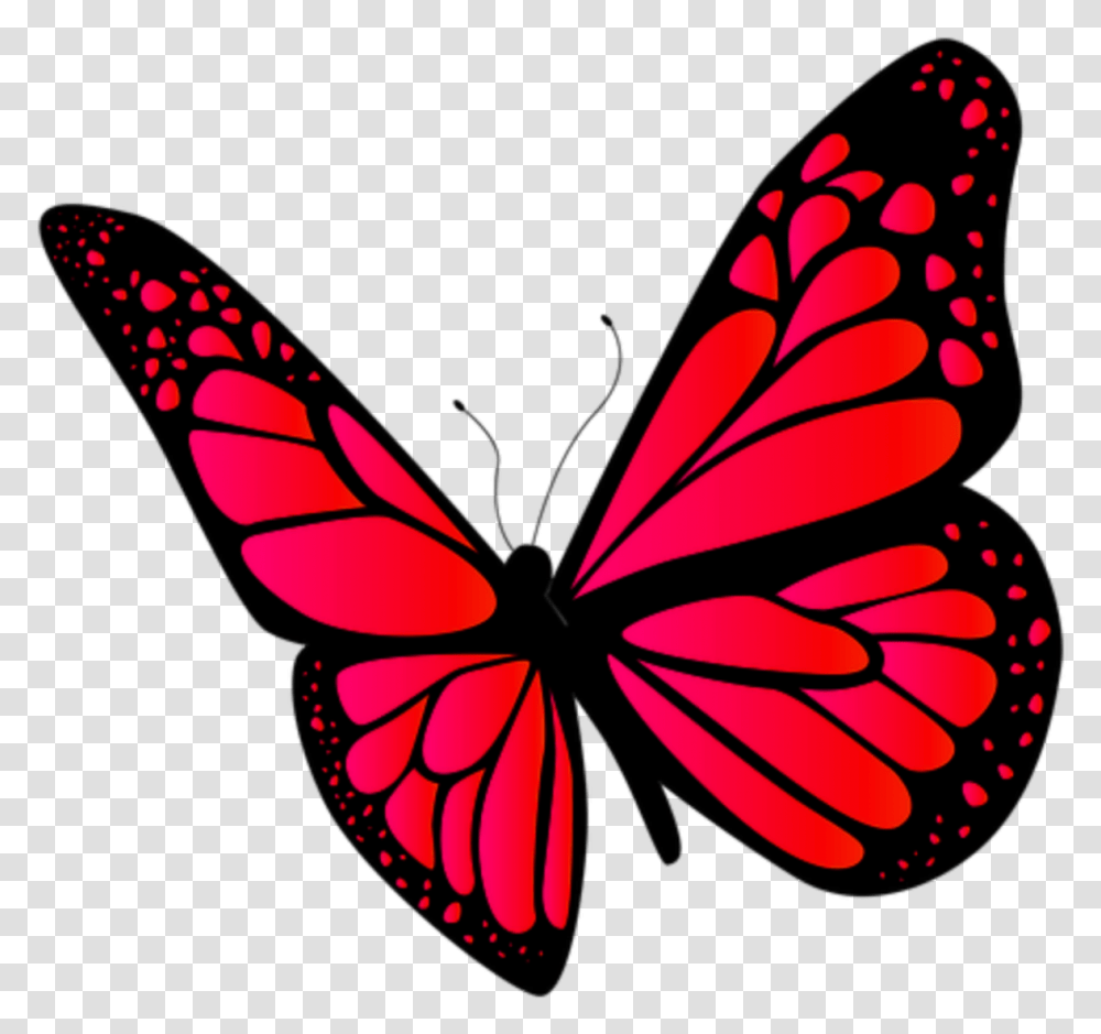Papilio, Pattern, Ornament Transparent Png