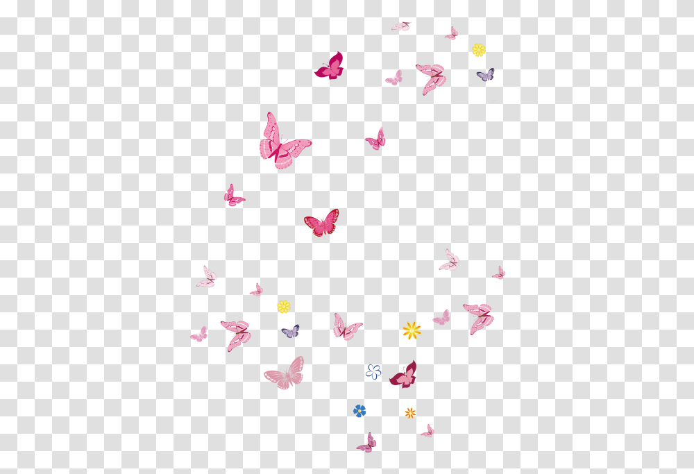 Papilio, Petal, Flower, Plant, Blossom Transparent Png