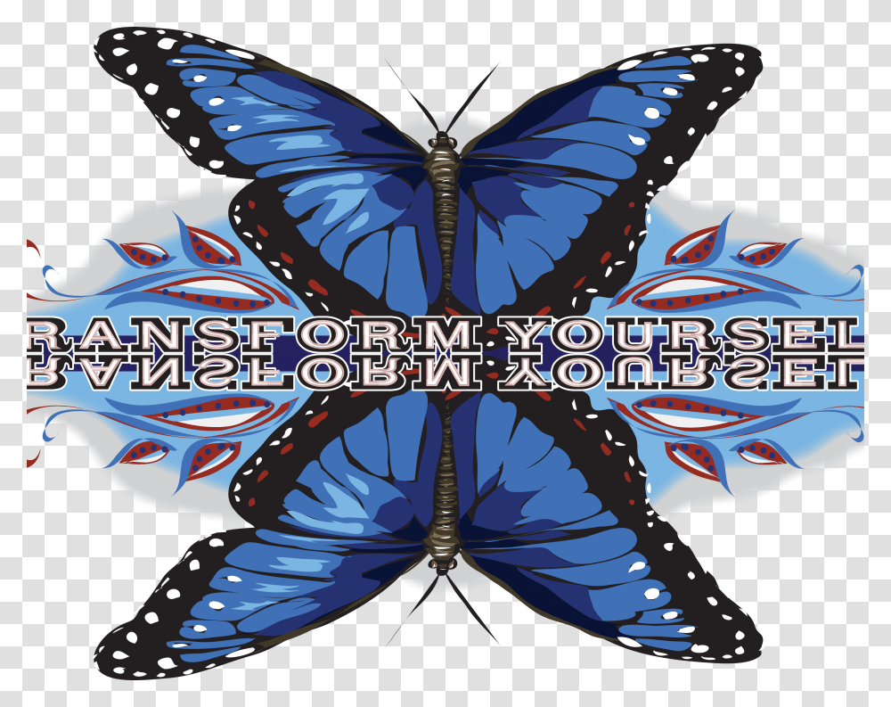 Papilio, Toy, Kite, Animal, Pattern Transparent Png