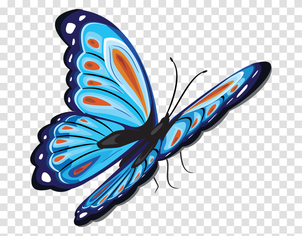 Papillon, Animal, Invertebrate Transparent Png