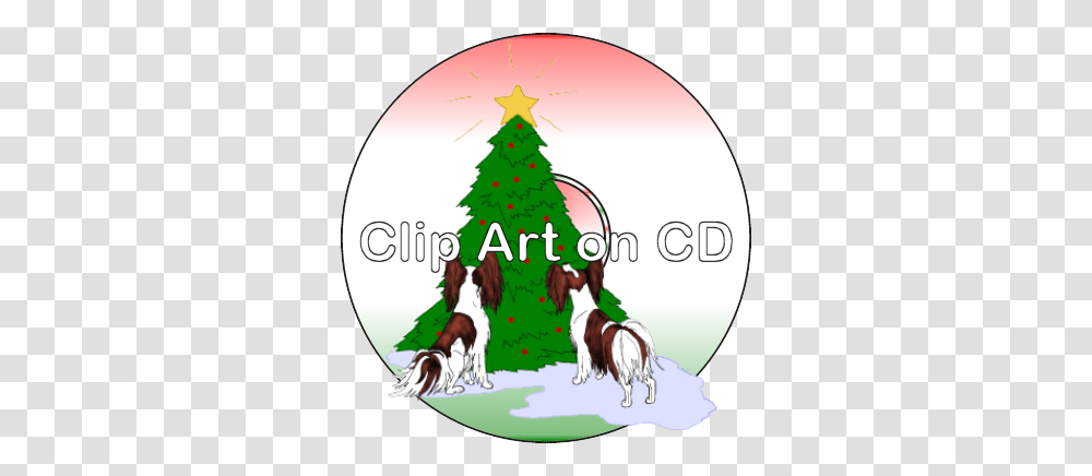 Papillon Shop, Tree, Plant, Christmas Tree, Ornament Transparent Png