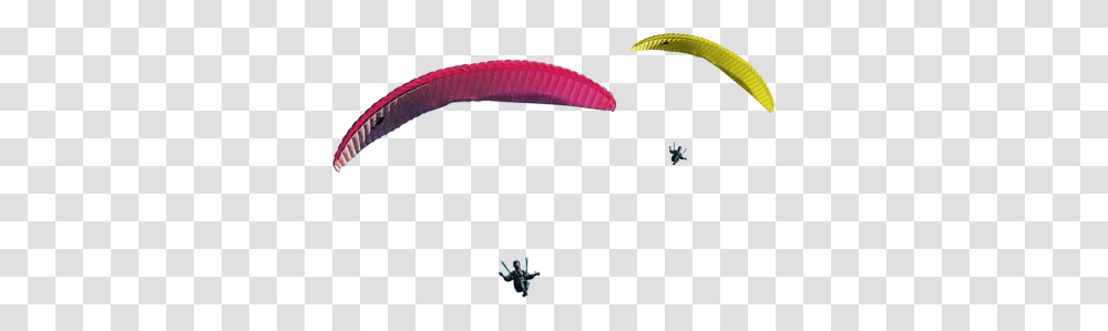 Parachute, Sport, Person, Human, Animal Transparent Png