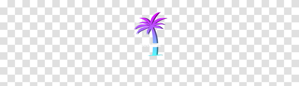 Paradise, Palm Tree, Plant, Arecaceae, Flare Transparent Png