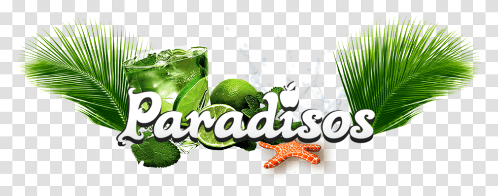 Paradisos Cyprus Beach Cyprus Beach Venue Cyprus Illustration, Plant, Lime, Citrus Fruit, Food Transparent Png