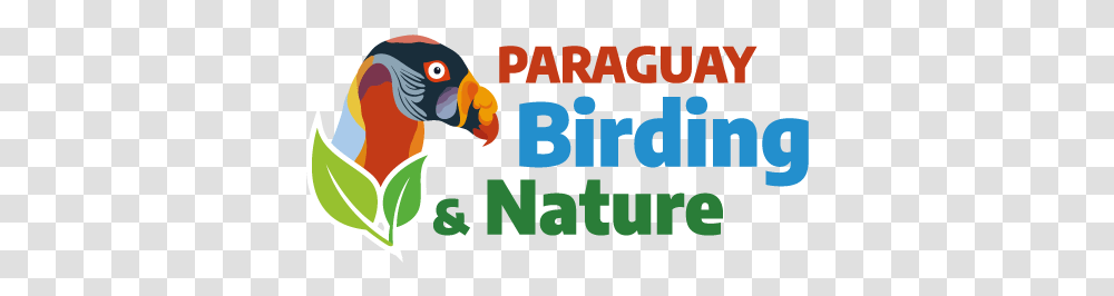 Paraguay Birding & Nature Pbn King Vulture, Text, Animal, Fish, Koi Transparent Png