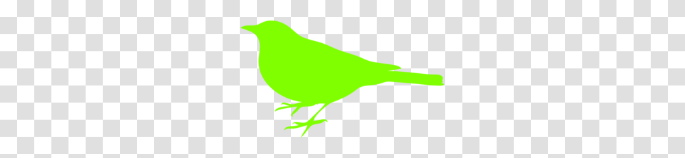 Parakeet Clip Art, Animal, Canary, Bird Transparent Png