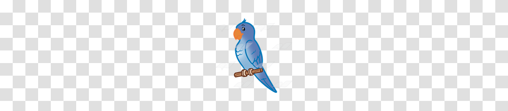 Parakeet Clipart Clip Art, Animal, Bird, Parrot, Jay Transparent Png