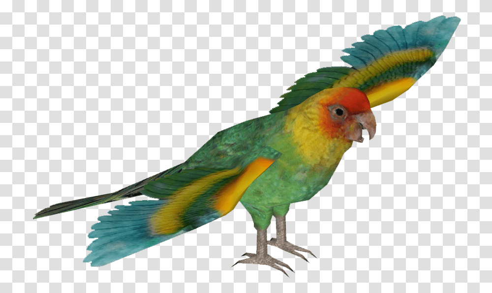 Parakeet Clipart Hyacinth Macaw, Bird, Animal, Parrot Transparent Png