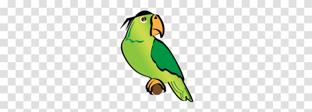 Parakeet Clipart Pirate, Parrot, Bird, Animal Transparent Png