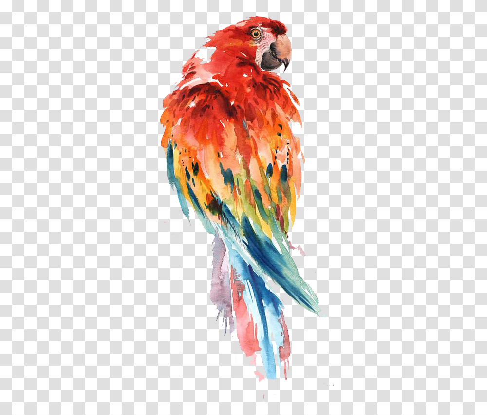 Parakeet Drawing Watercolor Parrot Watercolor Drawing, Bird, Animal Transparent Png