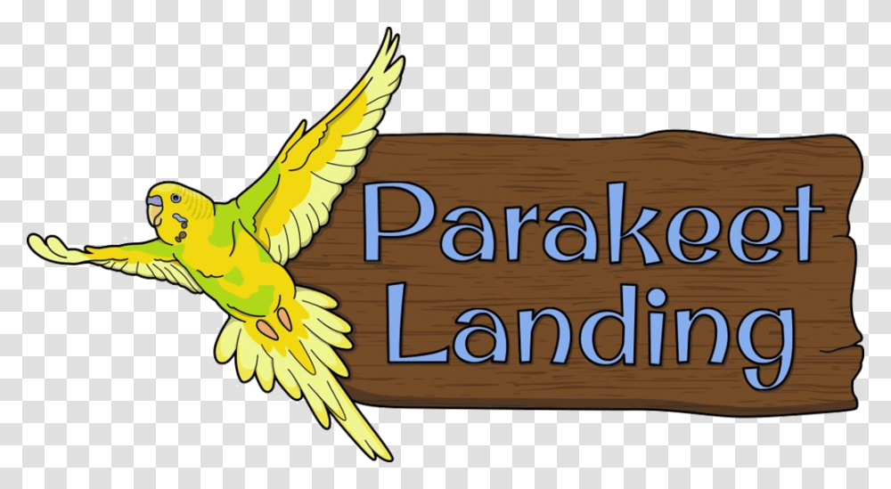 Parakeet Landing At Clyde Peeling S Reptiland Parakeet, Animal, Bird, Plant Transparent Png