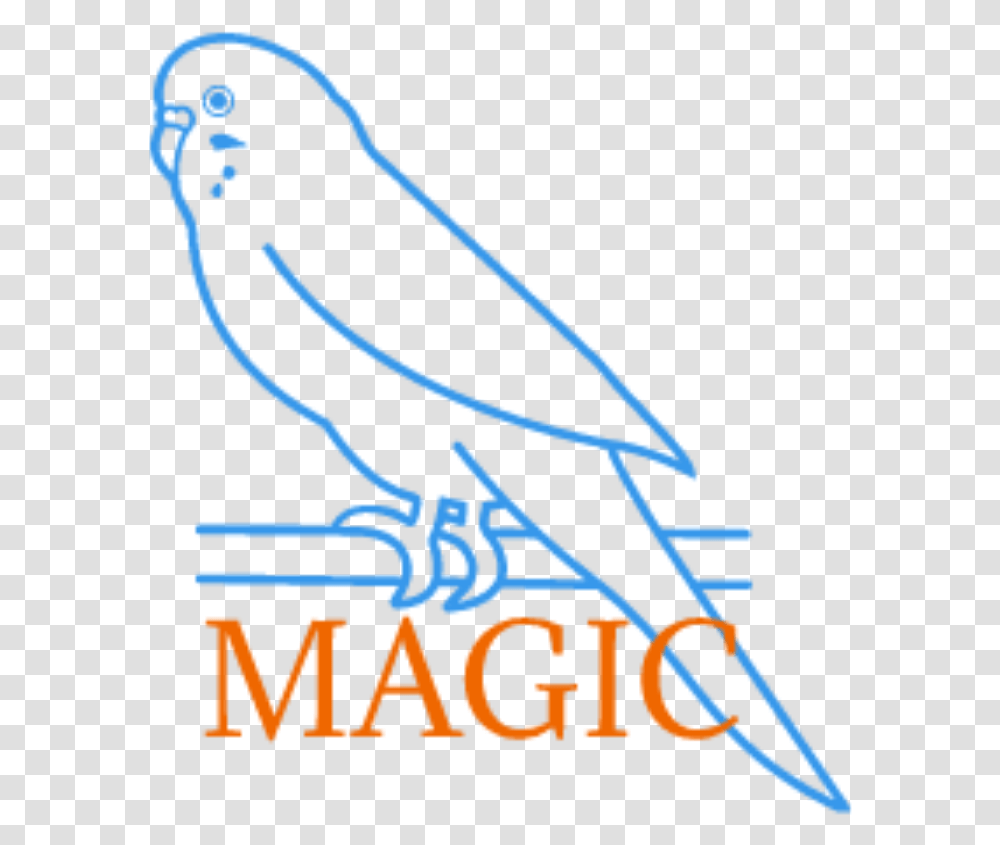 Parakeet Magic Parakeet Magic Parrot, Handwriting, Poster, Advertisement Transparent Png