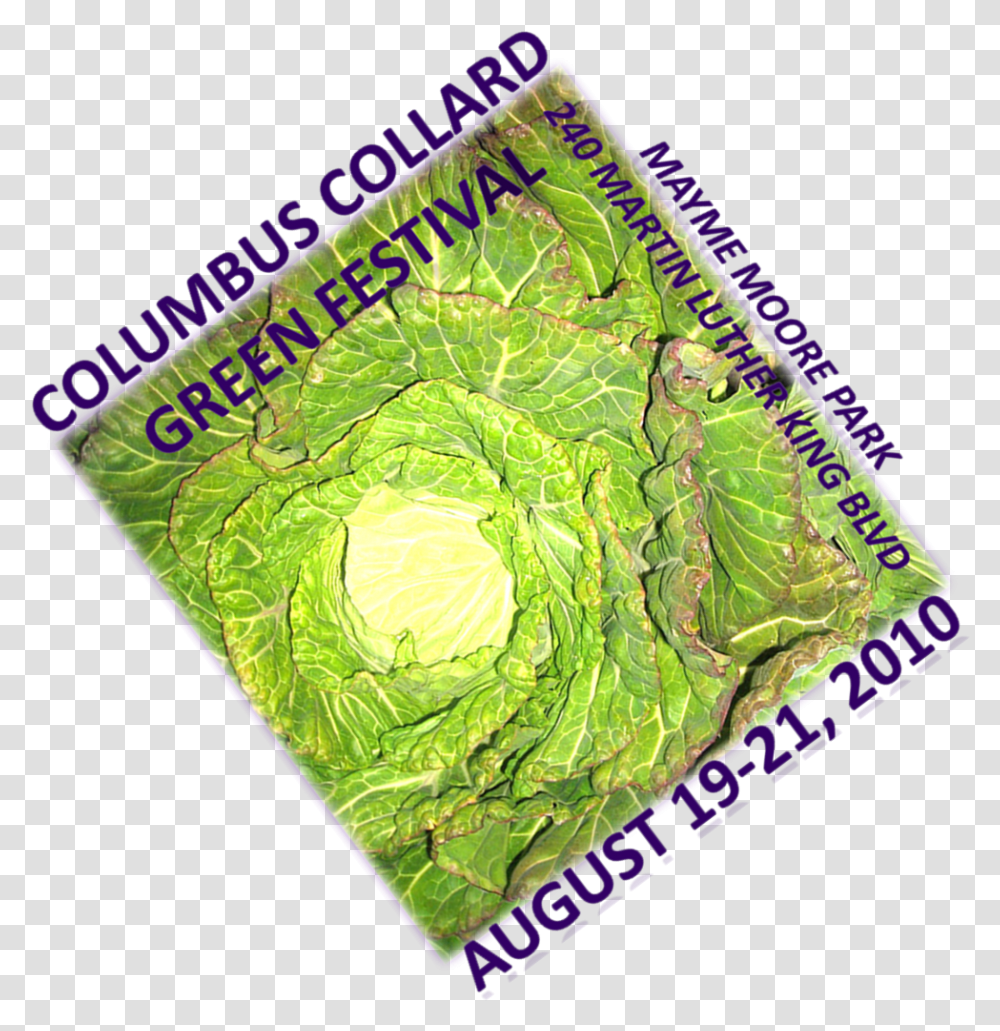 Parallel, Plant, Cabbage, Vegetable, Food Transparent Png