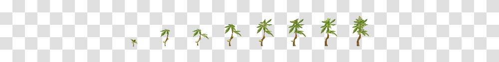 Parallel, Plant, Leaf, Tree, Animal Transparent Png