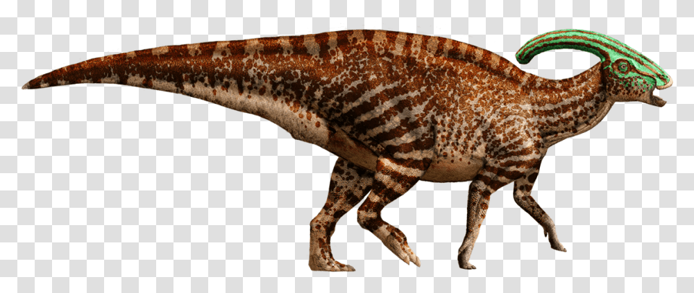 Parasaurolophus Detail Header Parasaurolophus Jurassic Park Dinosaurs, Reptile, Animal, T-Rex Transparent Png