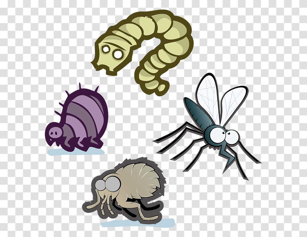 Parasitism Clipart Download Cartoon, Invertebrate, Animal, Insect, Bee Transparent Png