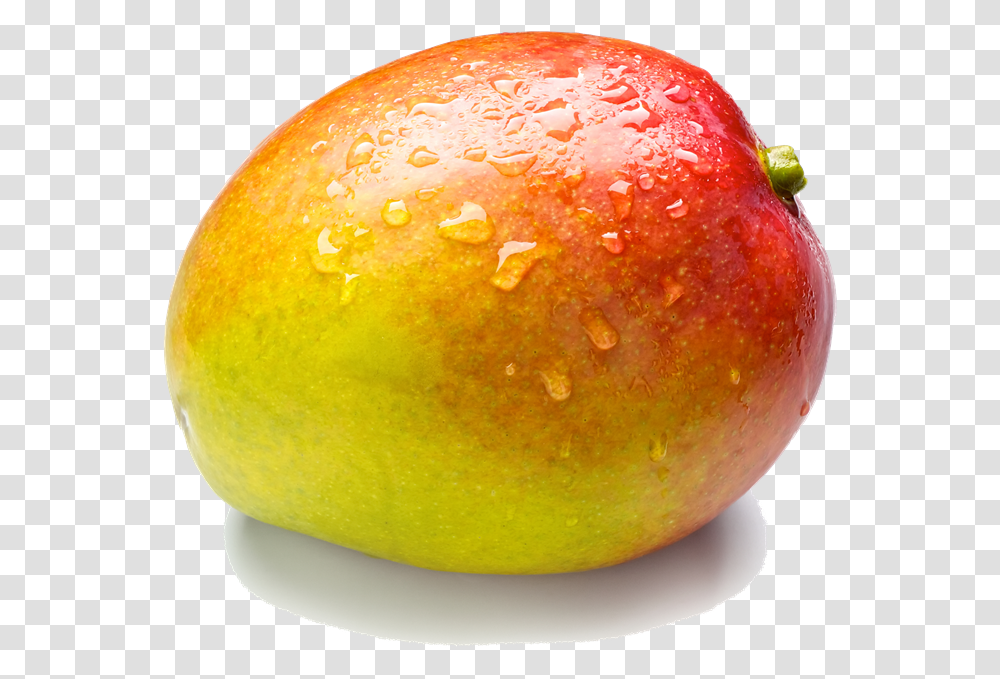 Parent Pngimagespngriverfreeiconsclipartdownloadmango Mango, Plant, Fruit, Food, Egg Transparent Png