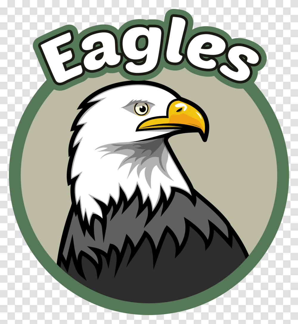Parent Resources Evergreen Elementary, Eagle, Bird, Animal, Bald Eagle Transparent Png