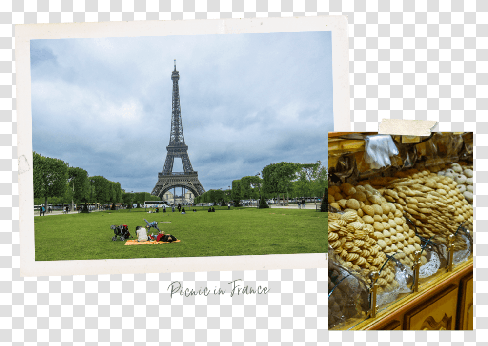 Paris Tower Eiffel Tower, Grass, Plant, Lawn, Park Transparent Png