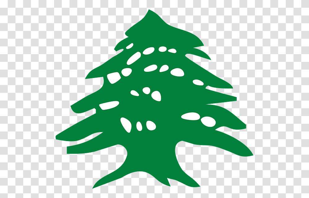 Parish History Our Lady Of The Cedars, Tree, Plant, Leaf, Ornament Transparent Png