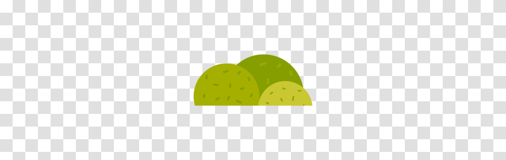 Park Bush Icon, Tennis Ball, Sport, Sports, Citrus Fruit Transparent Png