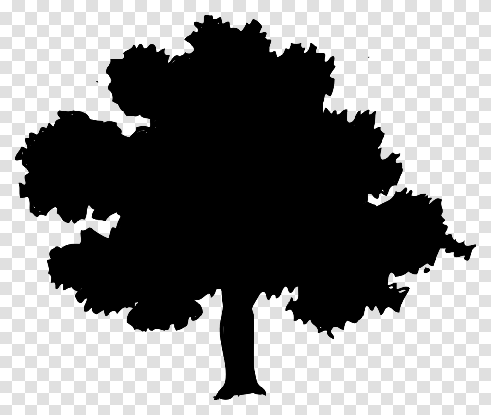 Park Tree Silhouette Forest Oak Elm, Gray, World Of Warcraft Transparent Png