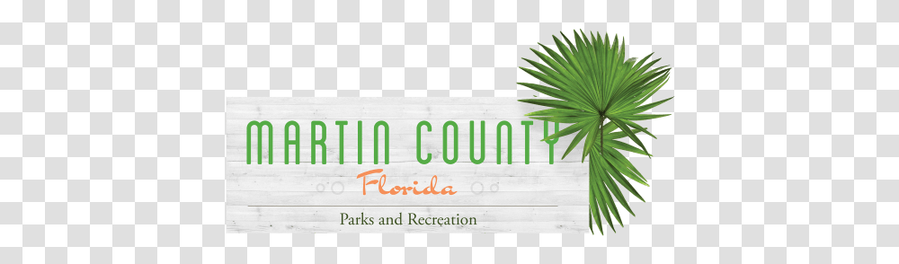 Parks And Rec Palm Logo Trans Horizontal, Plant, Tree, Text, Fir Transparent Png