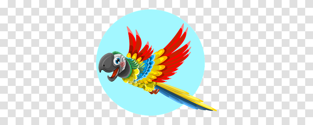 Parrot Nature, Bird, Animal, Jay Transparent Png