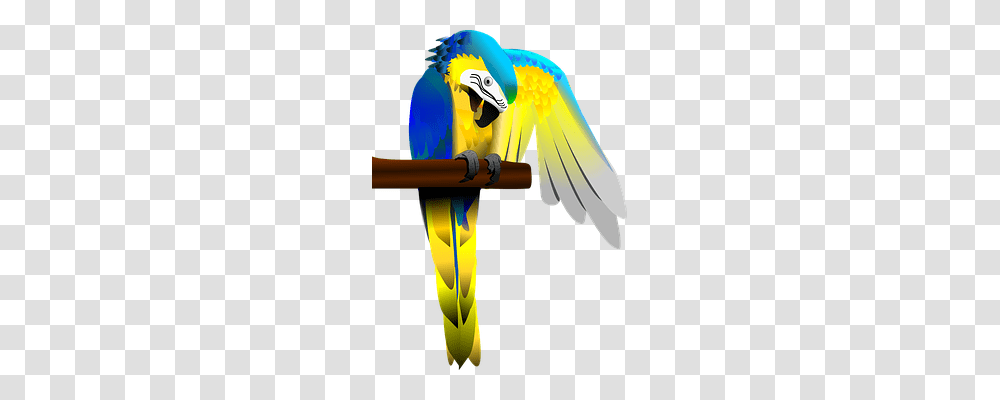 Parrot Animals, Macaw, Bird Transparent Png