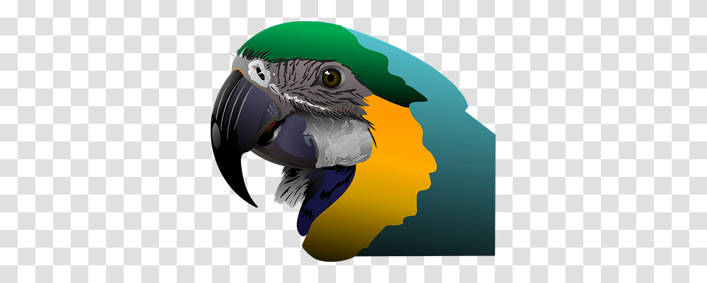 Parrot Animals, Beak, Bird, Macaw Transparent Png