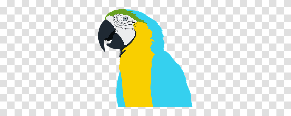 Parrot Nature, Bird, Animal, Macaw Transparent Png