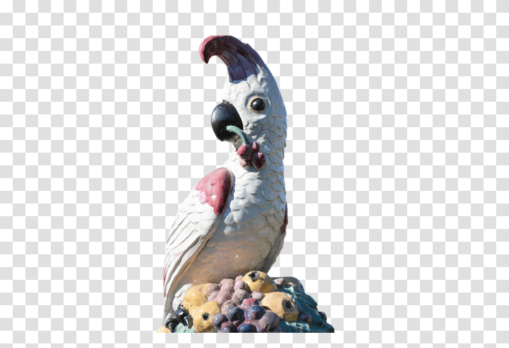 Parrot 960, Animals, Bird, Figurine, Cockatoo Transparent Png