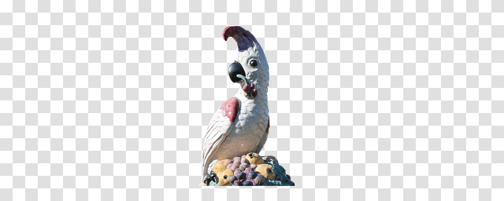 Parrot Animals, Bird, Beak, Cockatoo Transparent Png