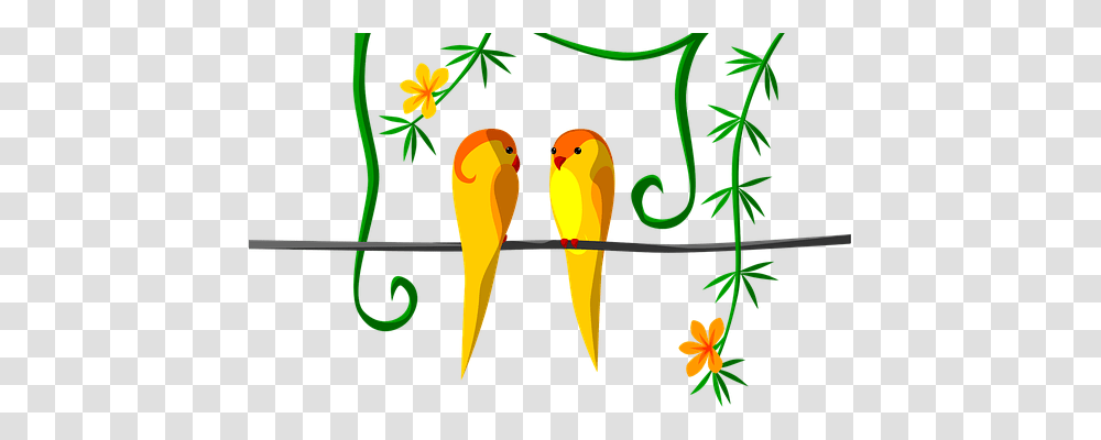 Parrot Animals, Plant, Carrot, Vegetable Transparent Png