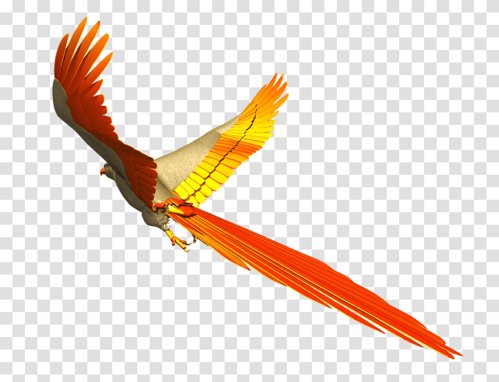 Parrot 960, Animals, Bird, Invertebrate, Insect Transparent Png