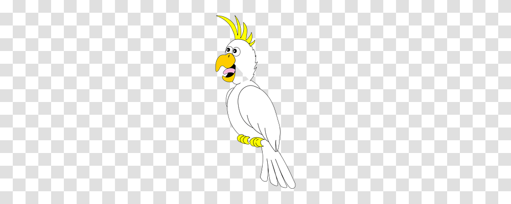 Parrot Emotion, Bird, Animal, Penguin Transparent Png