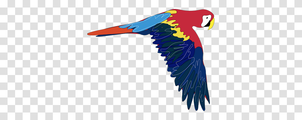 Parrot Animals, Flying, Bird, Macaw Transparent Png