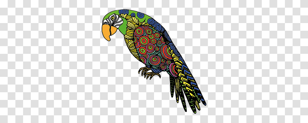 Parrot Animals, Bird, Peacock Transparent Png