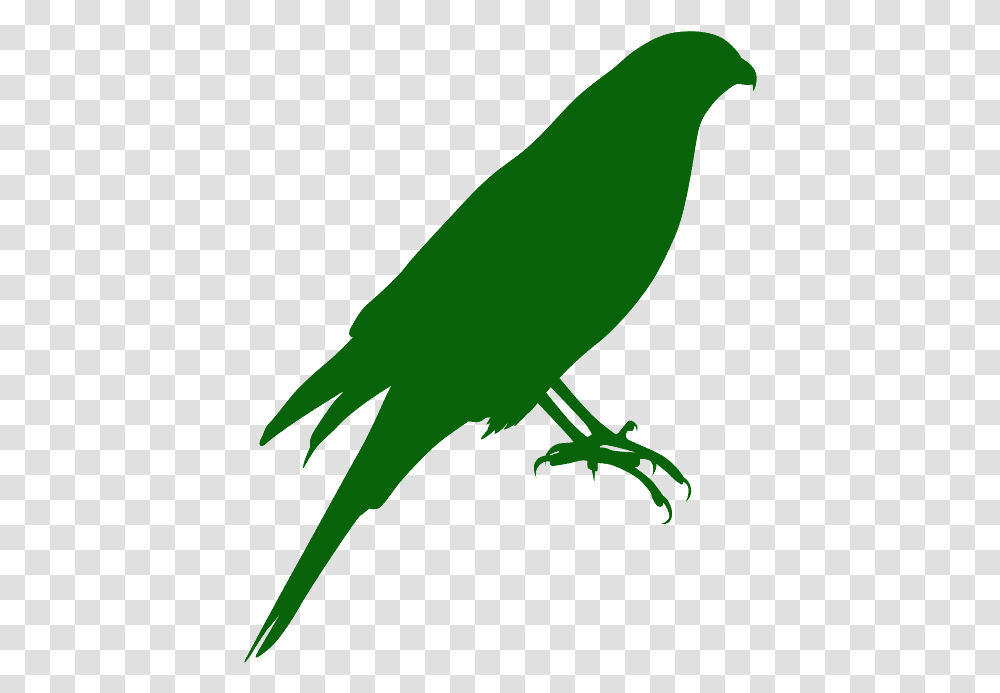 Parrot, Animal, Bird, Green, Statue Transparent Png