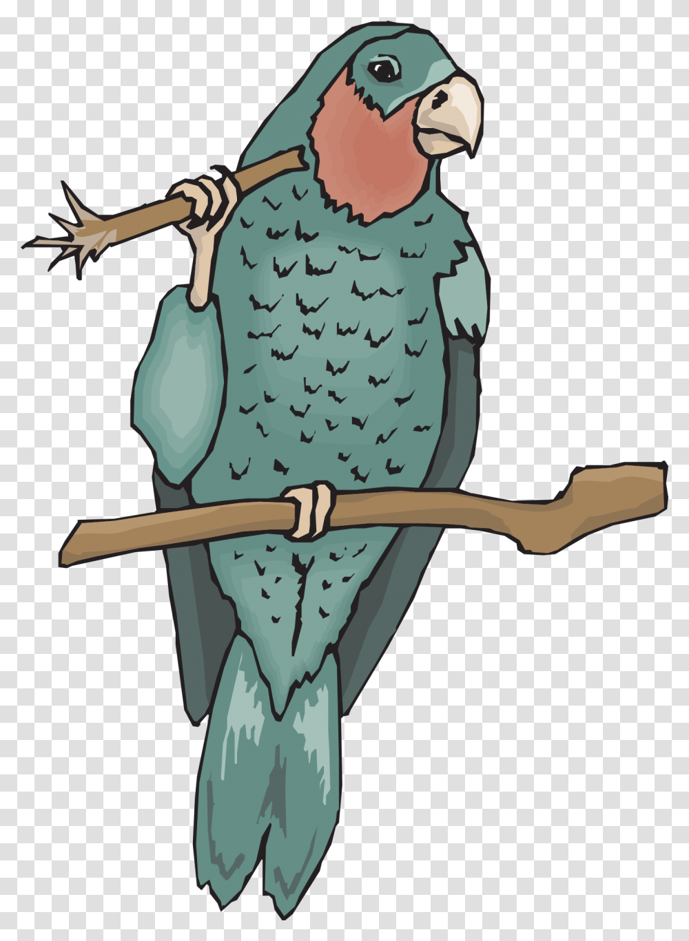Parrot, Animal, Bird, Sleeve Transparent Png