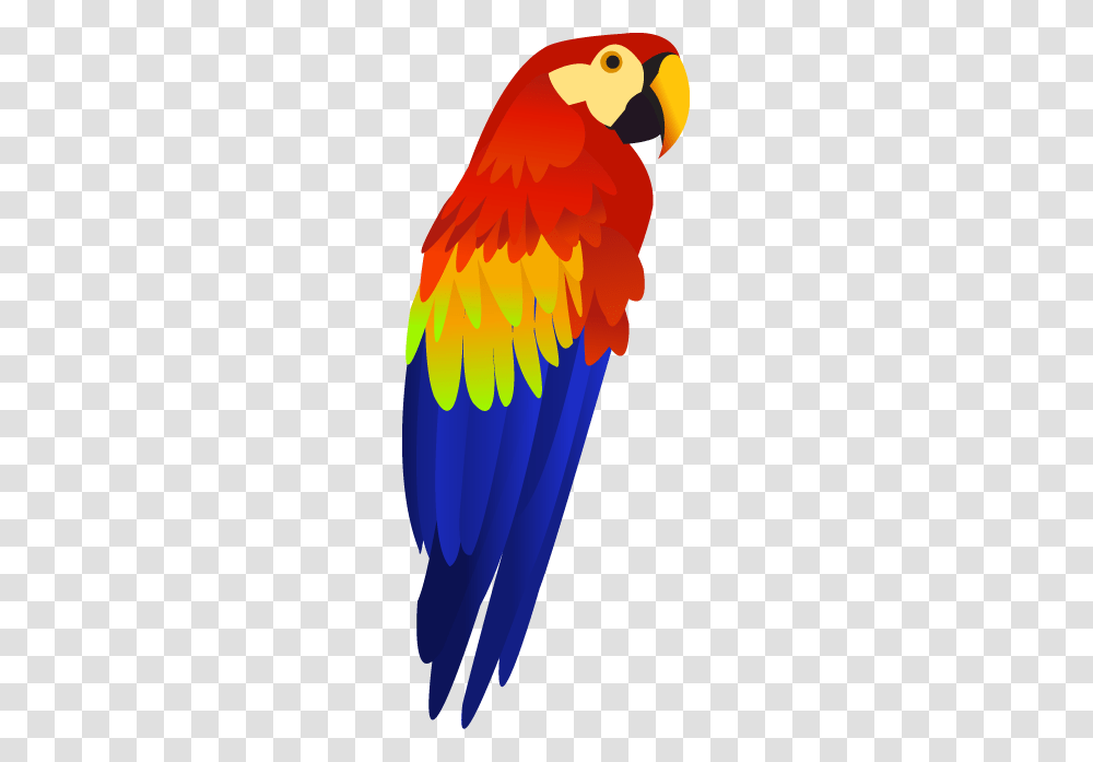 Parrot, Animals, Bird, Fire Transparent Png