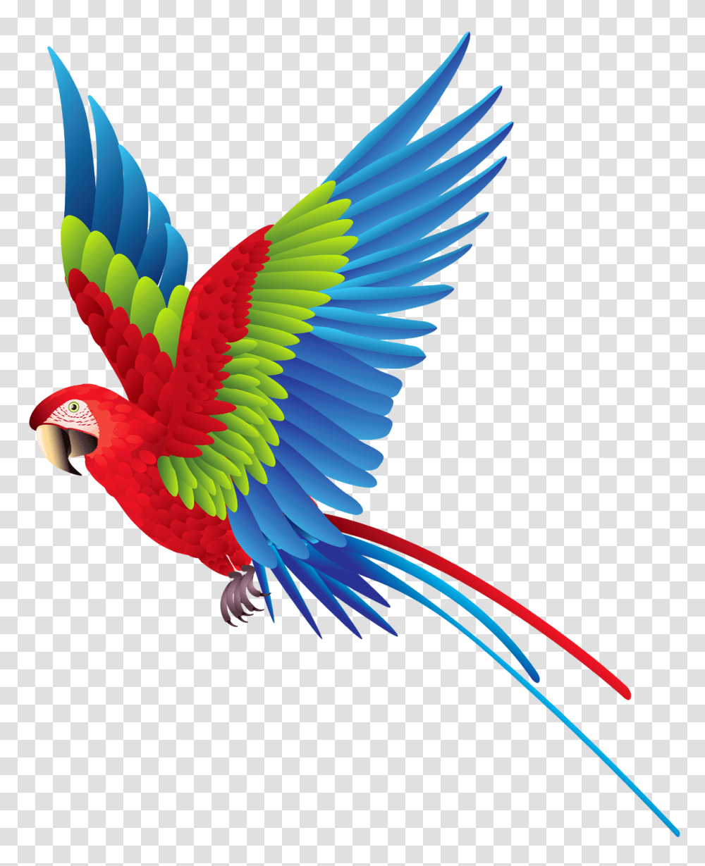 Parrot, Animals, Bird, Macaw, Brush Transparent Png